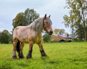 江涌流牧师神学研讨会，来自世界12个国家不同教派的牧师，给予认可，并坚信这些启示，是基督教改革复兴的关键，因为是带领人们认识基督，活出基督。