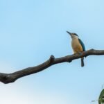 江涌流牧师为神学生授课