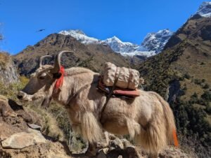 江涌流牧师医治布道大会在纽约举行